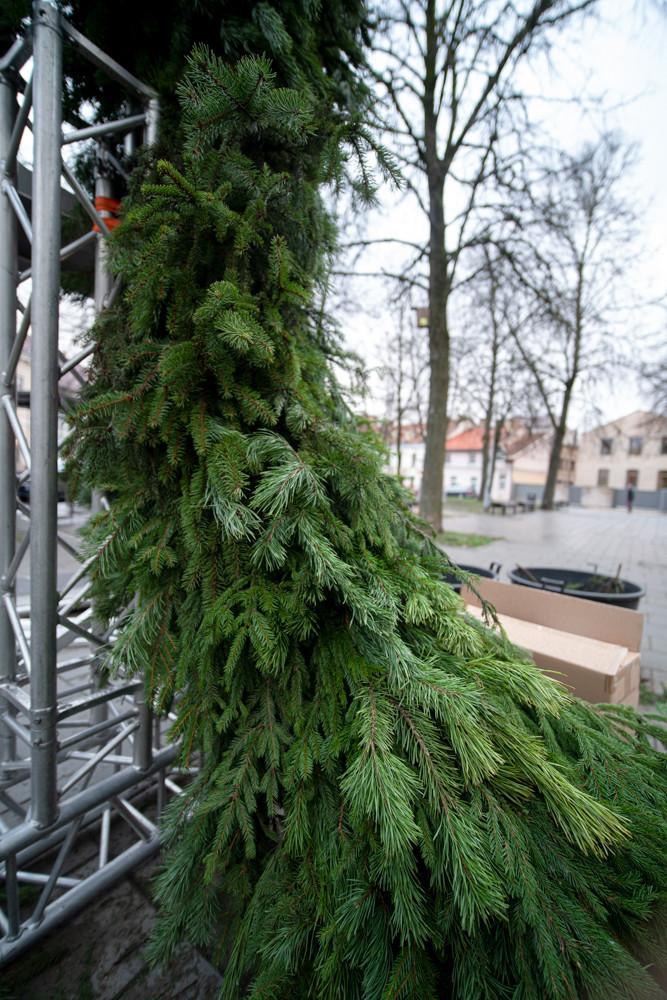 Vilniuje įžiebtas aukščiausias kalėdinis vainikas Lietuvoje